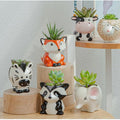 Cartoon Mini Pots Ceramic Animal Flower Pot