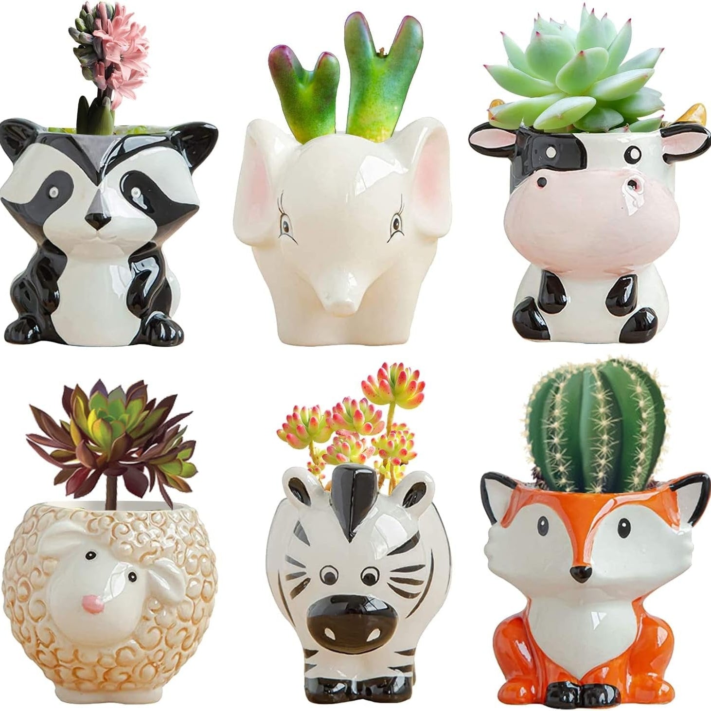 Cartoon Mini Pots Ceramic Animal Flower Pot