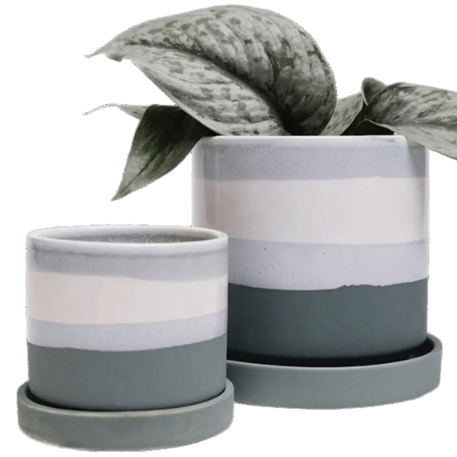 Mini Medium‑Sized Flower Pots