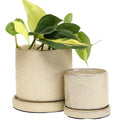 Minute Medium Ceramic Pot with Drainage Hole and Saucer