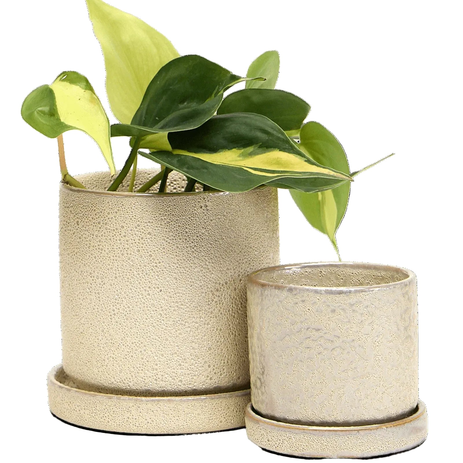 Minute Medium Ceramic Pot with Drainage Hole and Saucer